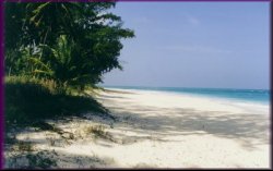 Current, Eleuthera