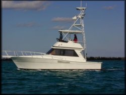 Dun Reach   Custom Aquatice Dive Boat