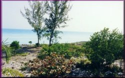 Eleuthera shore line in north