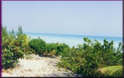 Eleuthera Beach, Win a Bahamas vacation!
