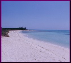 Endless Beaches