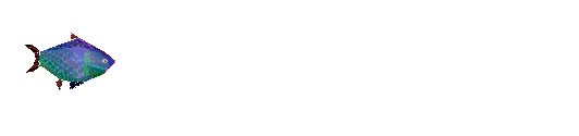 Bahamas swimming fish gif
