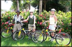 Biking Nature Tour