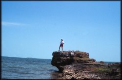 Blackbeard's Point 
          - Water Cay