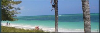 Grand Bahama Beaches