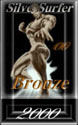 Silver Surfer Bronze Award