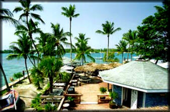 Crocodiles lovely harbour view